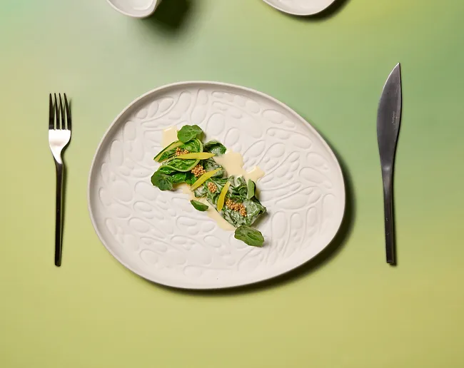 cookplay rex tanjur 1